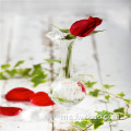 Mini Mini Ribbed Glass Vase untuk Bunga Pendek